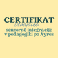 SENZORNA INTEGRACIJA PO AYRES ® V PEDAGOGIKI/ SIAT®